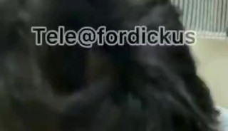 Fourdickus & brondong polos