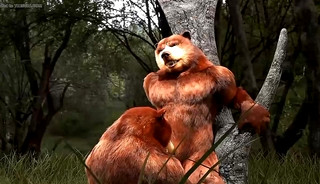 Bears In The Woods