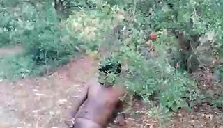 Desi cum in jungle