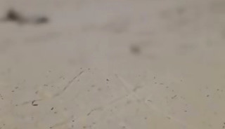 fucking on the beach