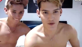 they are a bit snooty