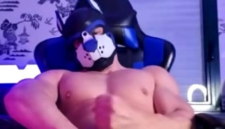 buff pup