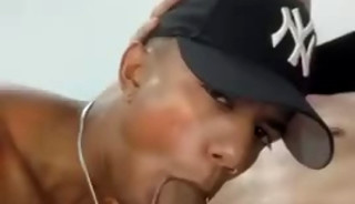 Suck that cock