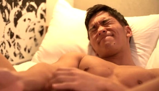 shotahiroya