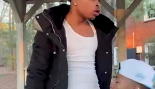 Galos Grandes no Parque