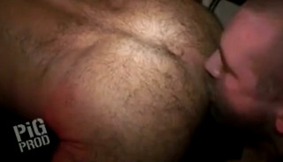 Hot Hairy Rosebud Bear Fucking