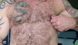 bears