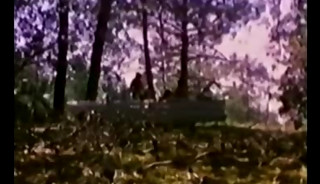 Vintage COMPILATION