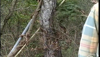 tasty house attractive Oats