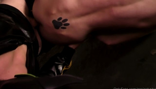 Pups fuck