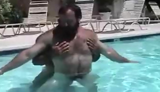 Two Bears Fucking In The Pool
