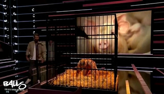 German TV show Muscle Guy Humiliated For $$