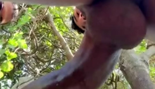 Dicked down in the woods