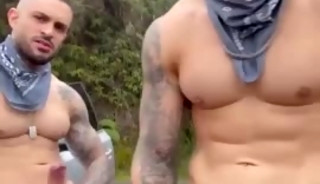 Alphas spreading semen