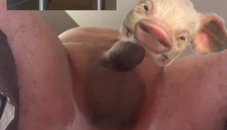 Anal sex Compilation, culo distrutto