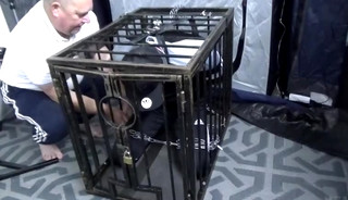Perfectly Caged