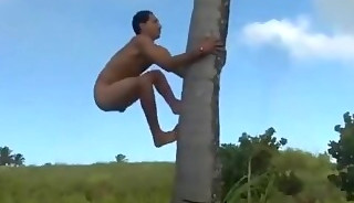 Walking hardon's & boners compilation