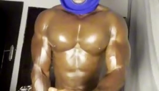 ALPHA MUSCULAR BULL