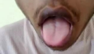 punjab dost