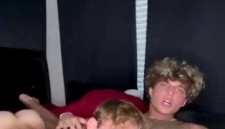 l e o